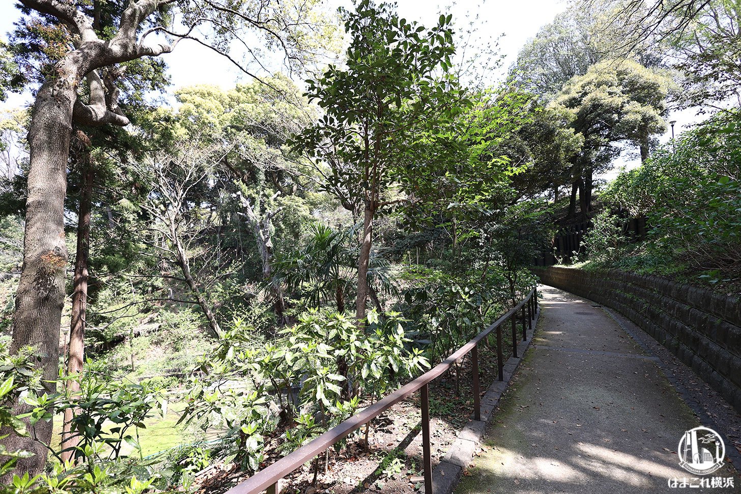 元町公園の大自然