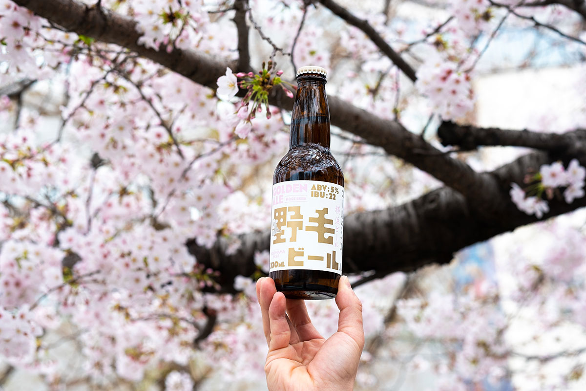 横浜ビール「野毛ビール〜ゴールデンエール〜」ラベル一新して発売！