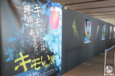 キモキモい展2022in横浜に怖いもの見たさで行ってきた！五感を使ったスリリングなキモさい展2022に怖いもの見たさで行ってきた！五感を使ったスリリングなキモさ