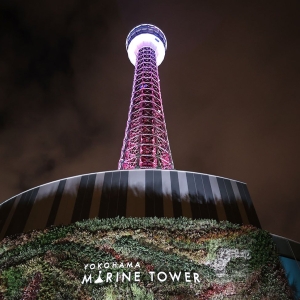 横浜マリンタワー展望フロアで夜景と映像の融合体験！横浜の新たな夜景スポット