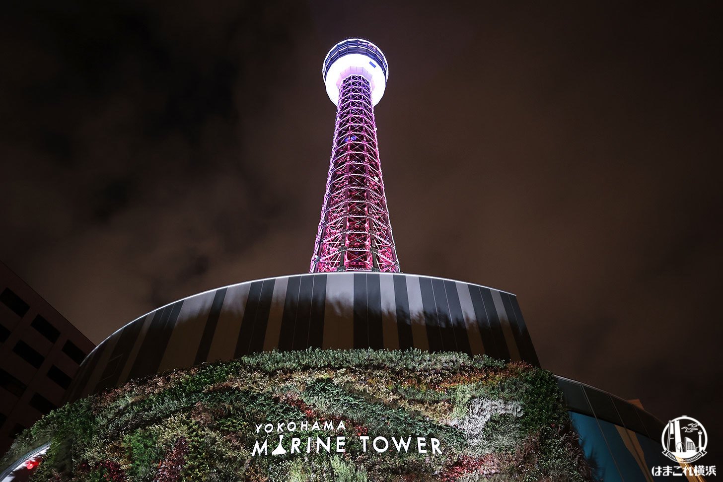 横浜マリンタワー展望台で夜景と光と映像の融合体験！横浜の新たな夜景を満喫