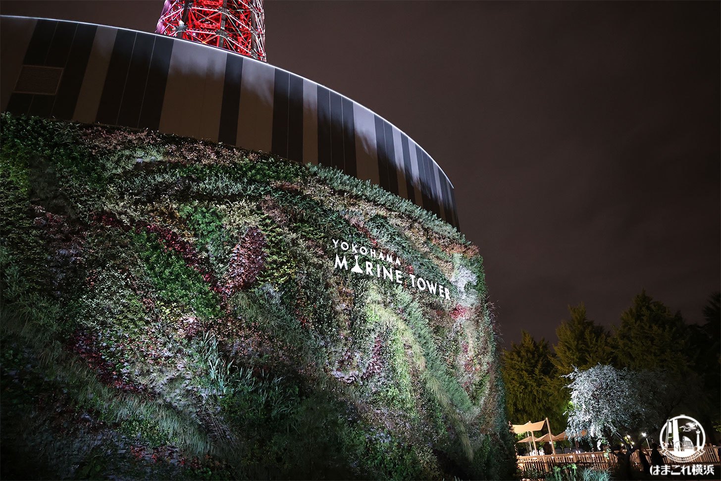横浜マリンタワー展望フロアで夜景と映像の融合体験！横浜の新たな夜景スポット | はまこれ横浜