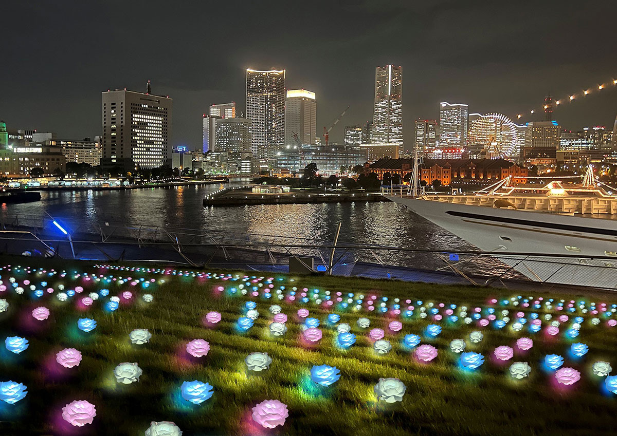 横浜港大さん橋のイルミネーション2022開催！光のローズガーデン表現