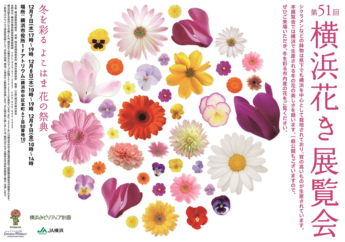 横浜市庁舎「第51回横浜花き展覧会」開催！冬を華やかに彩る花の祭典