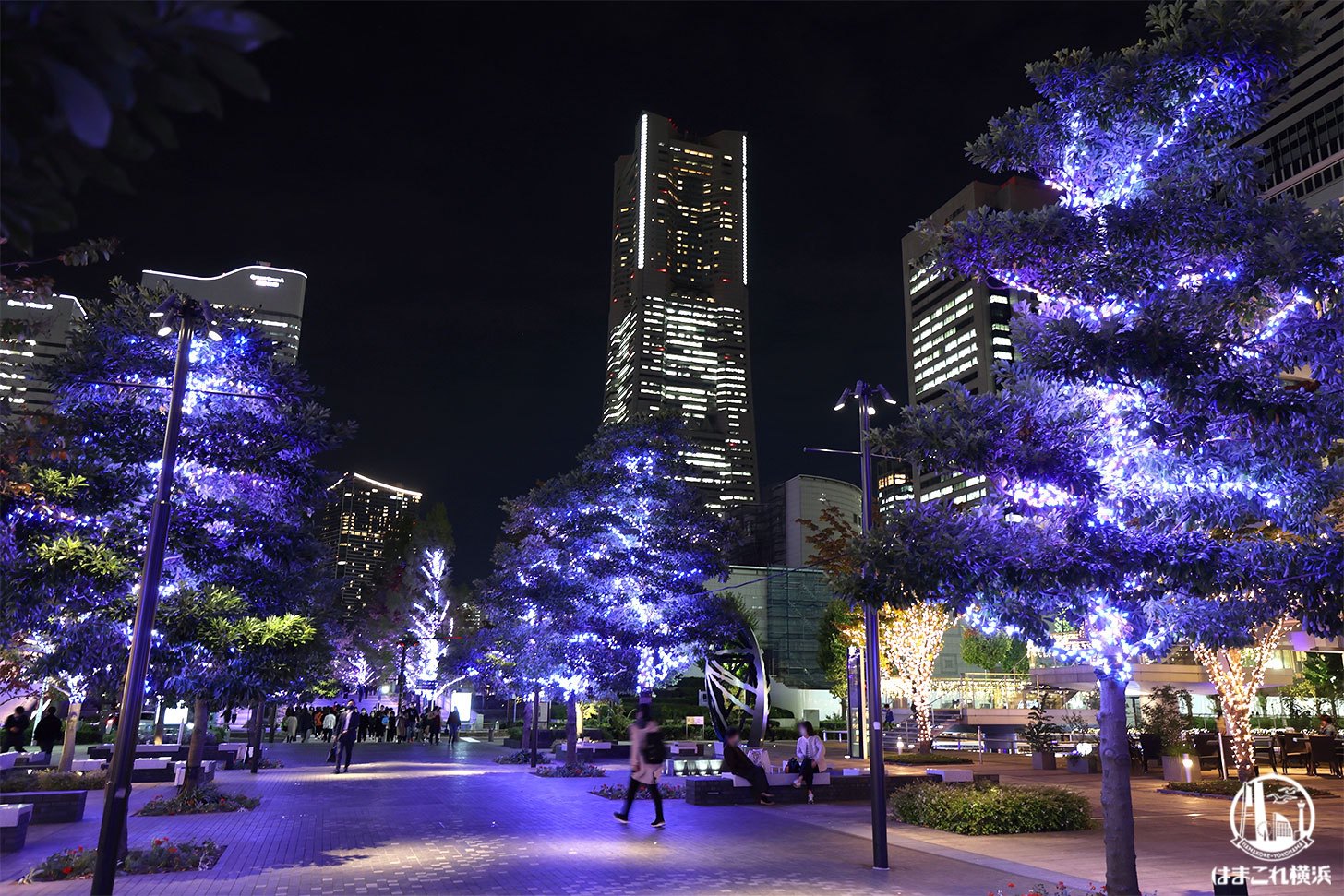 ヨコハマミライト2022「並木道」から見るイルミネーションと横浜ランドマークタワー