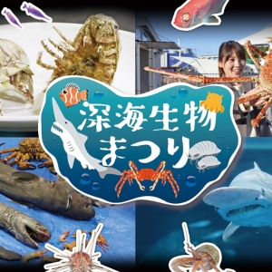 横浜・八景島シーパラダイス「深海生物まつり」見て触れて味わえる！50種500点以上の深海生物を展示