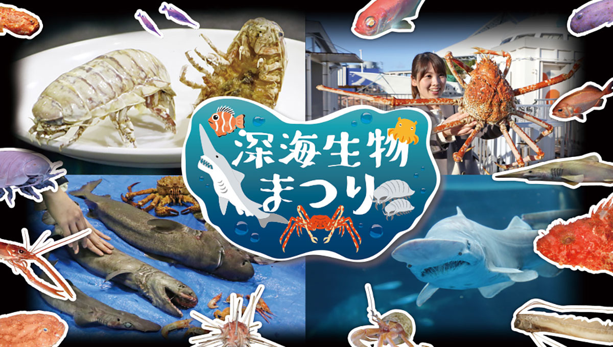 横浜・八景島シーパラダイス「深海生物まつり」関東最大級50種500点以上を展示！見て触れて味わえる