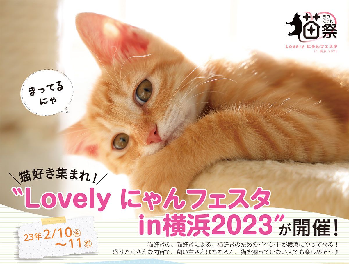 横浜で猫の祭典「Lovely にゃんフェスタ」開催！ねこ休み展やキャットショー、グッズ販売など