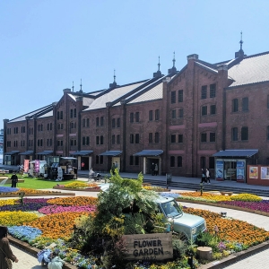 横浜赤レンガ倉庫「フラワーガーデン2023」開催！約20種2万株の花々が彩る花畑