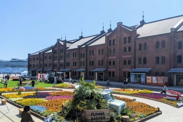 横浜赤レンガ倉庫「フラワーガーデン2023」開催！約20種類・2万株の花々が彩る花畑