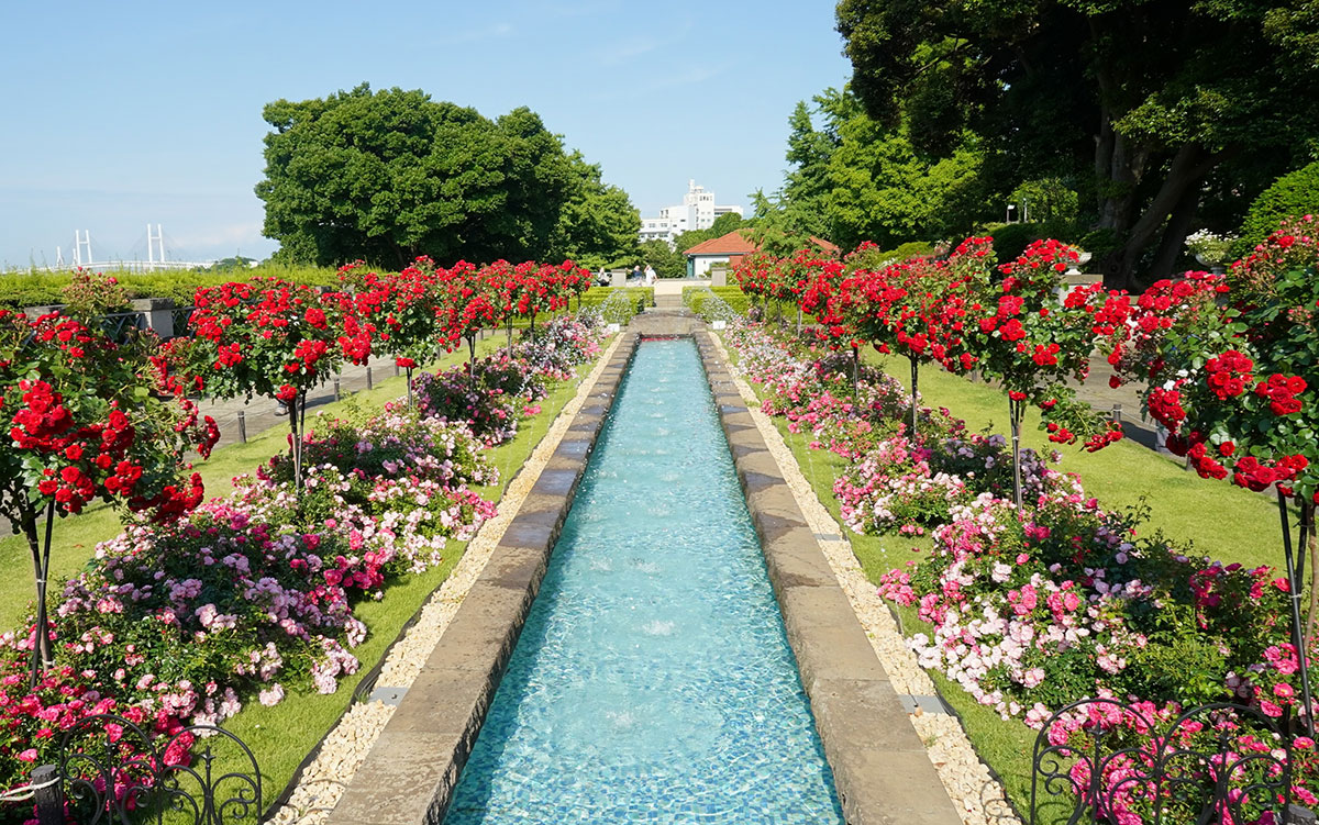山手イタリア山庭園「バラと輝く噴水の庭」