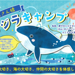 横浜「大さん橋クジラキャンプ」夏休みに開催！原寸大シロナガスクジラをバルーンで再現