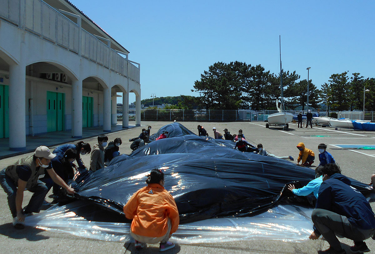 原寸大シロナガスクジラのバルーン
