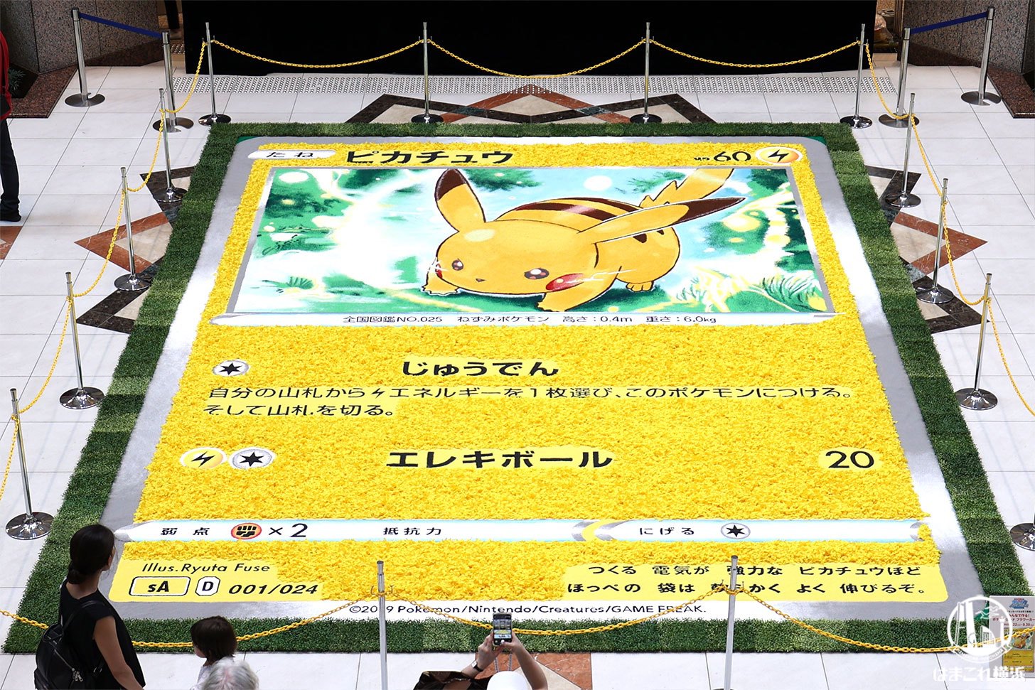 ピカチュウのポケモンカードを再現した巨大フラワーカーペットが横浜のランドマークプラザに出現！！