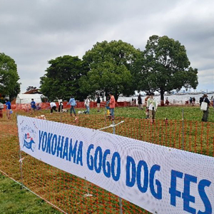 横浜・臨港パーク「YOKOHAMA GOGO DOG FES 2023 秋」開催決定！ファッションショーも新たに