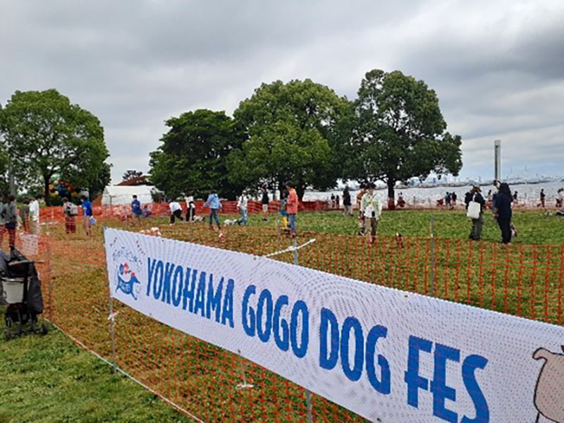 横浜・臨港パーク「YOKOHAMA GOGO DOG FES 2023 秋」開催決定！新たにファッションショーも