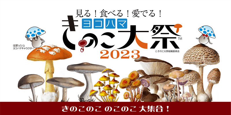 ヨコハマきのこ大祭2023がMMテラスで開催！きのこ好きによる、きのこ好きのための祭