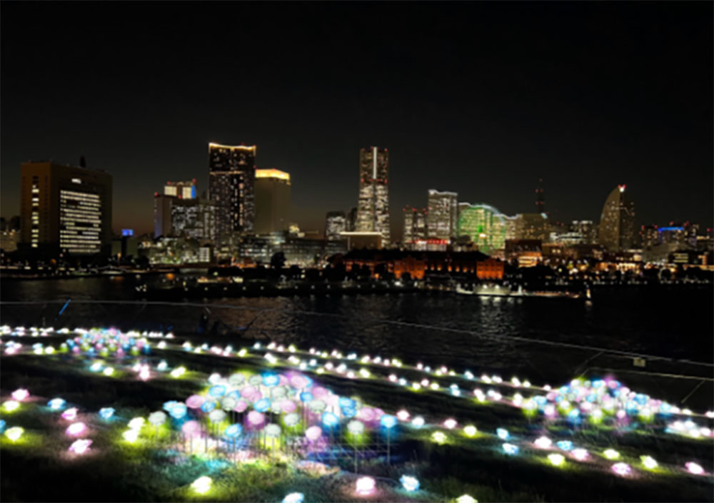 横浜港フォトジェニックイルミネーション2023開催！月の光とバラの淡い光を