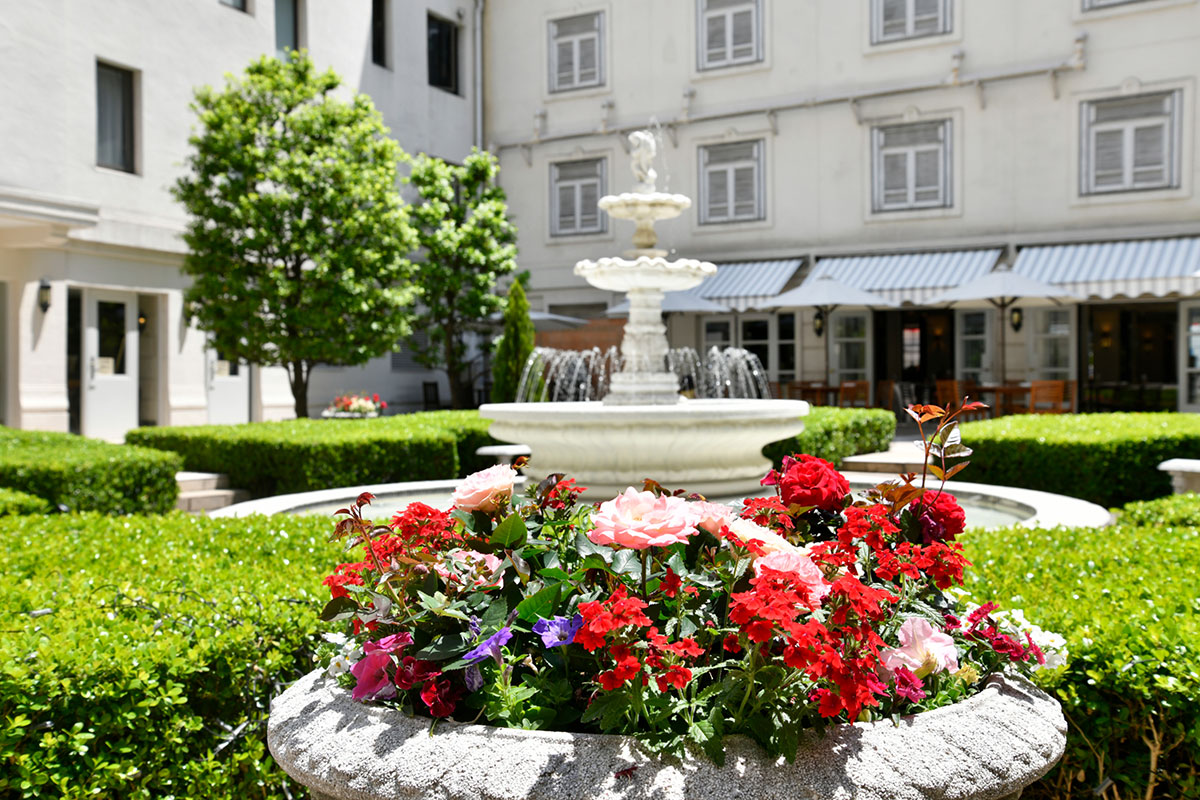 横浜・ホテルニューグランド「花と緑の庭園」開催！季節の花々と緑に包まれる華やかな空間