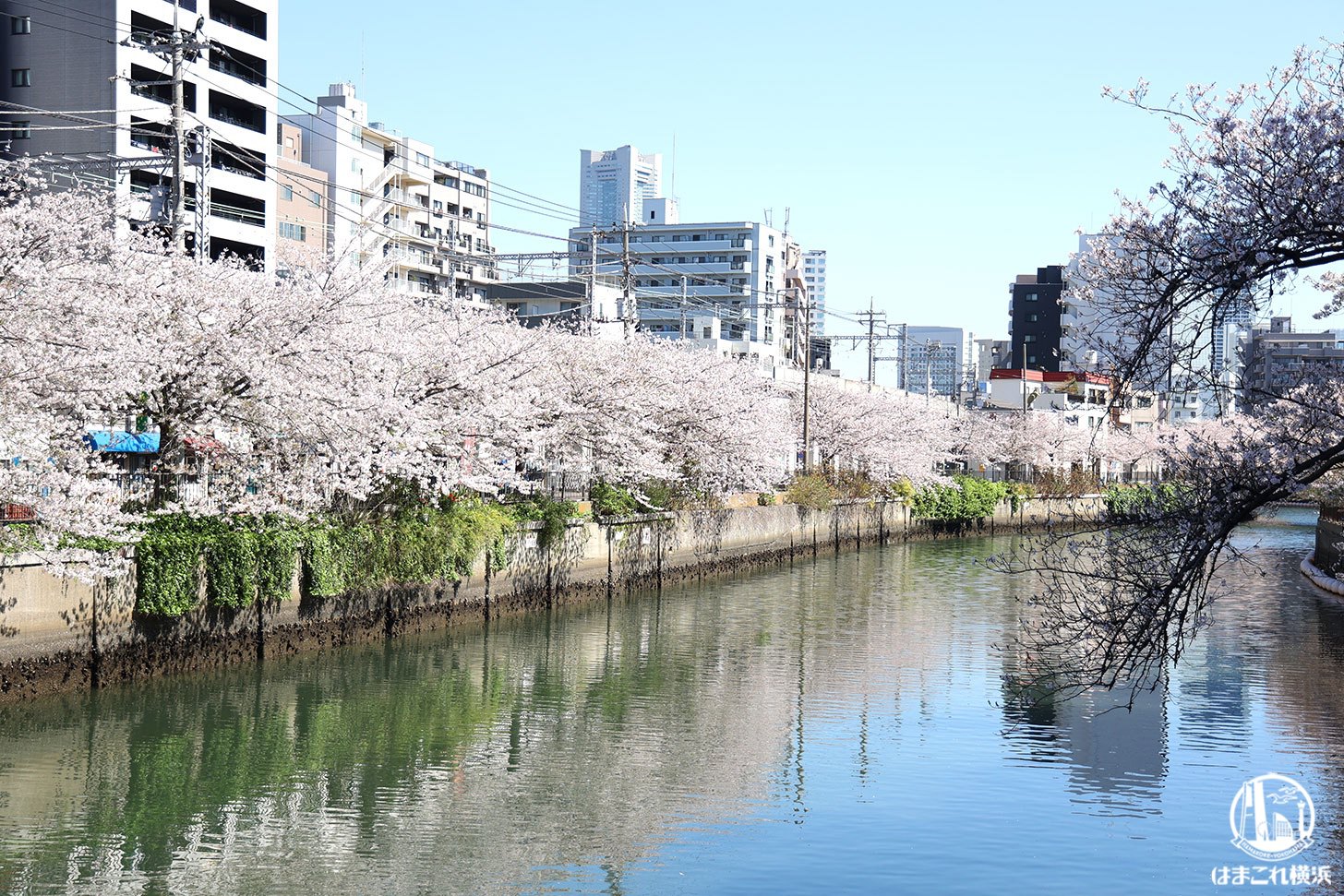 横浜大岡川付近(水彩画) 横浜大岡川付近(水彩画)