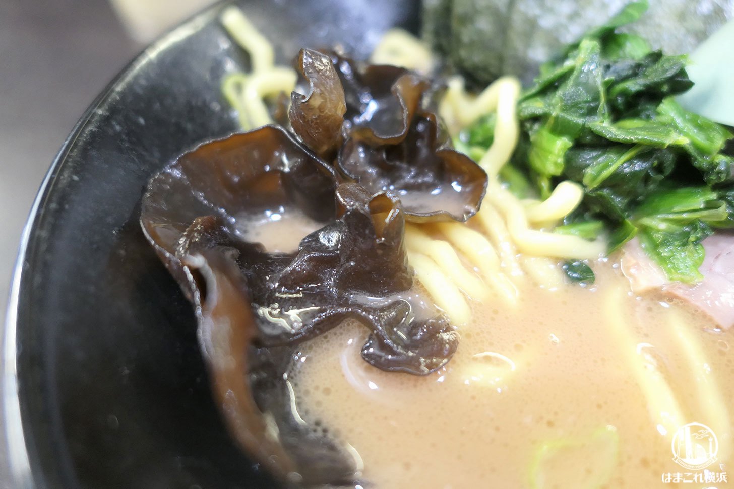 キクラゲ