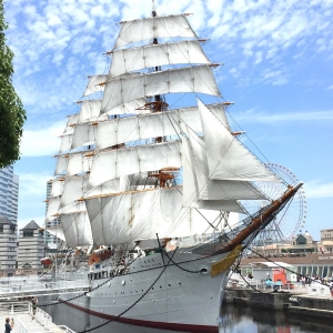 帆船日本丸「総帆展帆」2024年5月6日に開催！全ての帆を広げる美しい光景