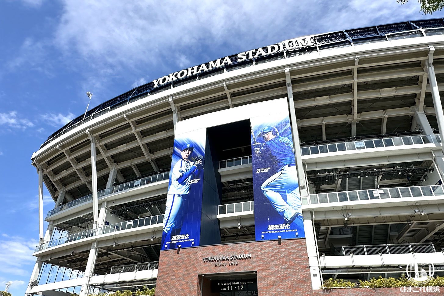 8月に「横浜スタジアムツアー」2日間開催！ベンチやブルペン、VIPルームなど裏側見学