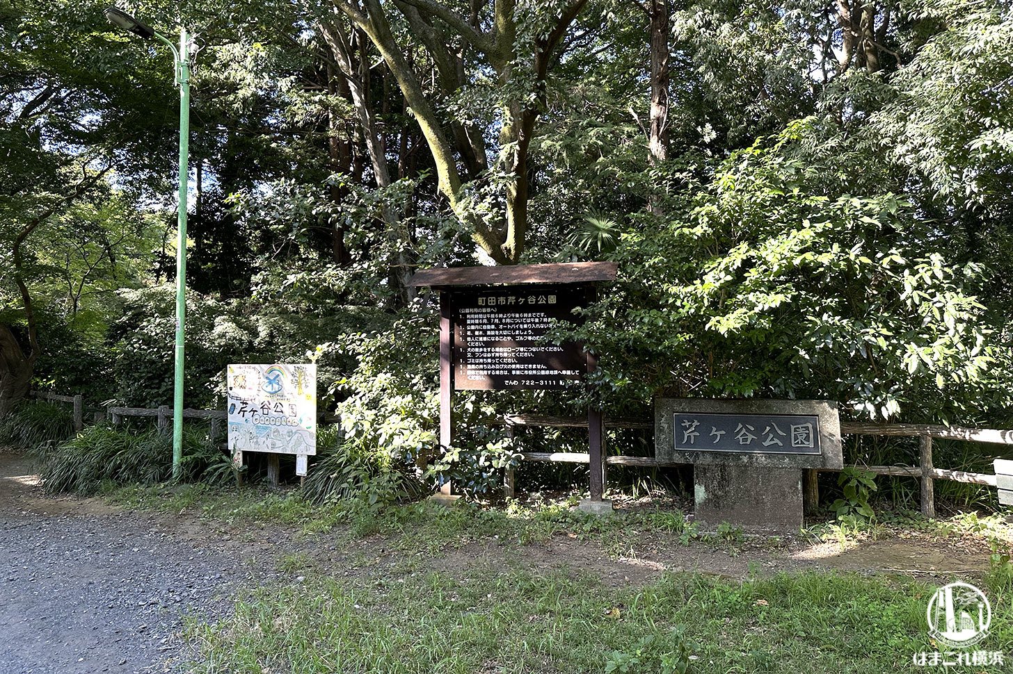 芹ヶ谷公園 入口