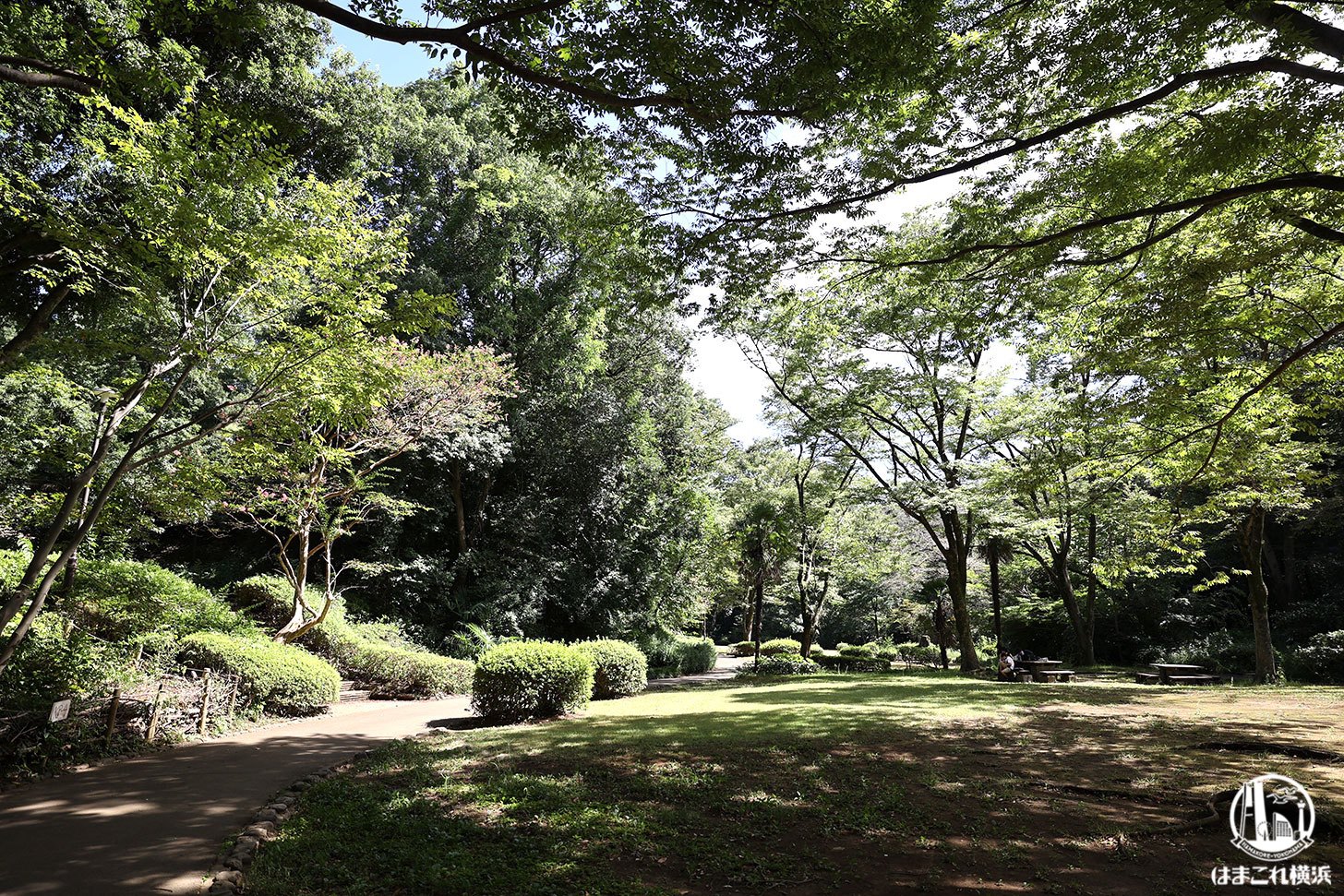 芹ヶ谷公園