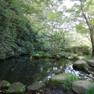 東京町田の“ポケふた”探しに芹ヶ谷公園へ週末お出かけ！自然豊かな癒しの駅近スポット