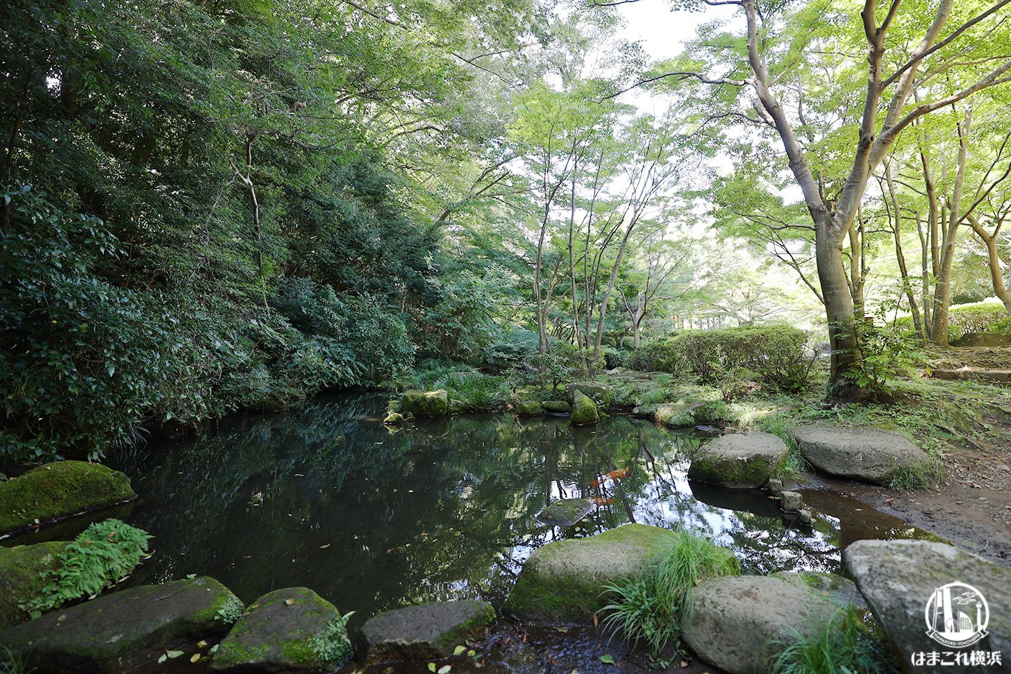 東京町田の“ポケふた”探しに芹ヶ谷公園へ週末お出かけ！自然豊かな散策路歩いて癒しの時間