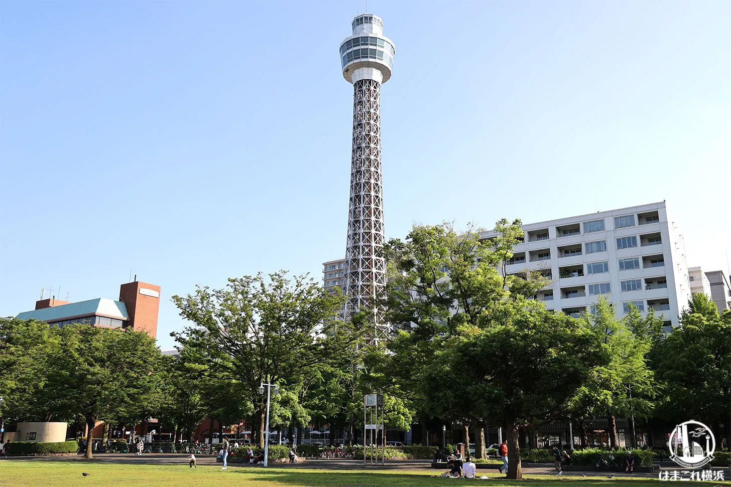 横浜マリンタワーの階段を昇れるイベント再開！秋シーズンに普段は味わえない景色を思い出に