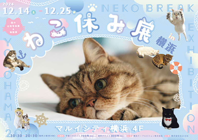 猫の祭典「ねこ休み展」横浜で約2年ぶりに開催！猫クリエイターのハンドメイドグッズ集結