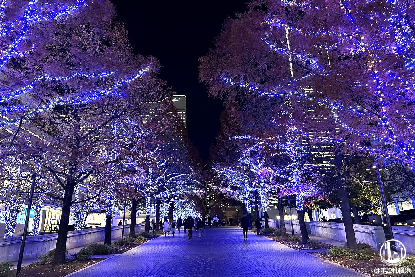 グランモール公園のイルミネーション