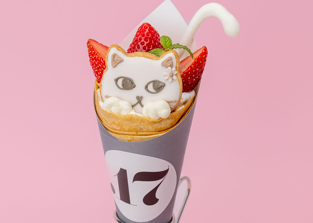 2416market-catcarnival-newoman