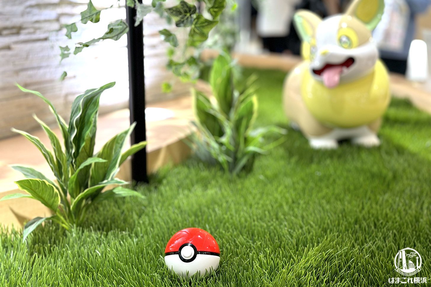 ポケモンカフェ「ピカチュウスイーツ」周辺で出会ったポケモンたち