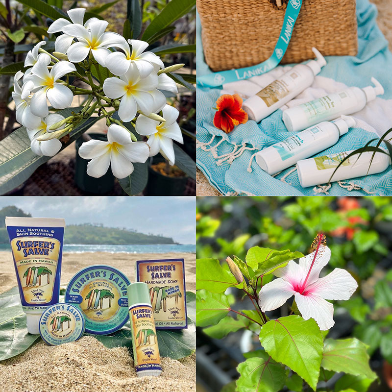 Island Plants