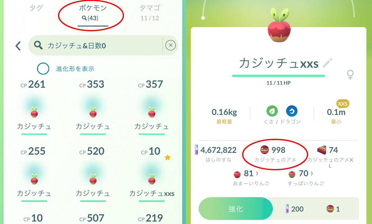 2日目のカジッチュ入手結果