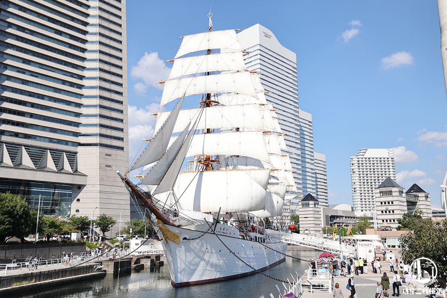 横浜の帆船日本丸「総帆展帆」2025年5月6に開催！全ての帆を広げる圧巻の姿