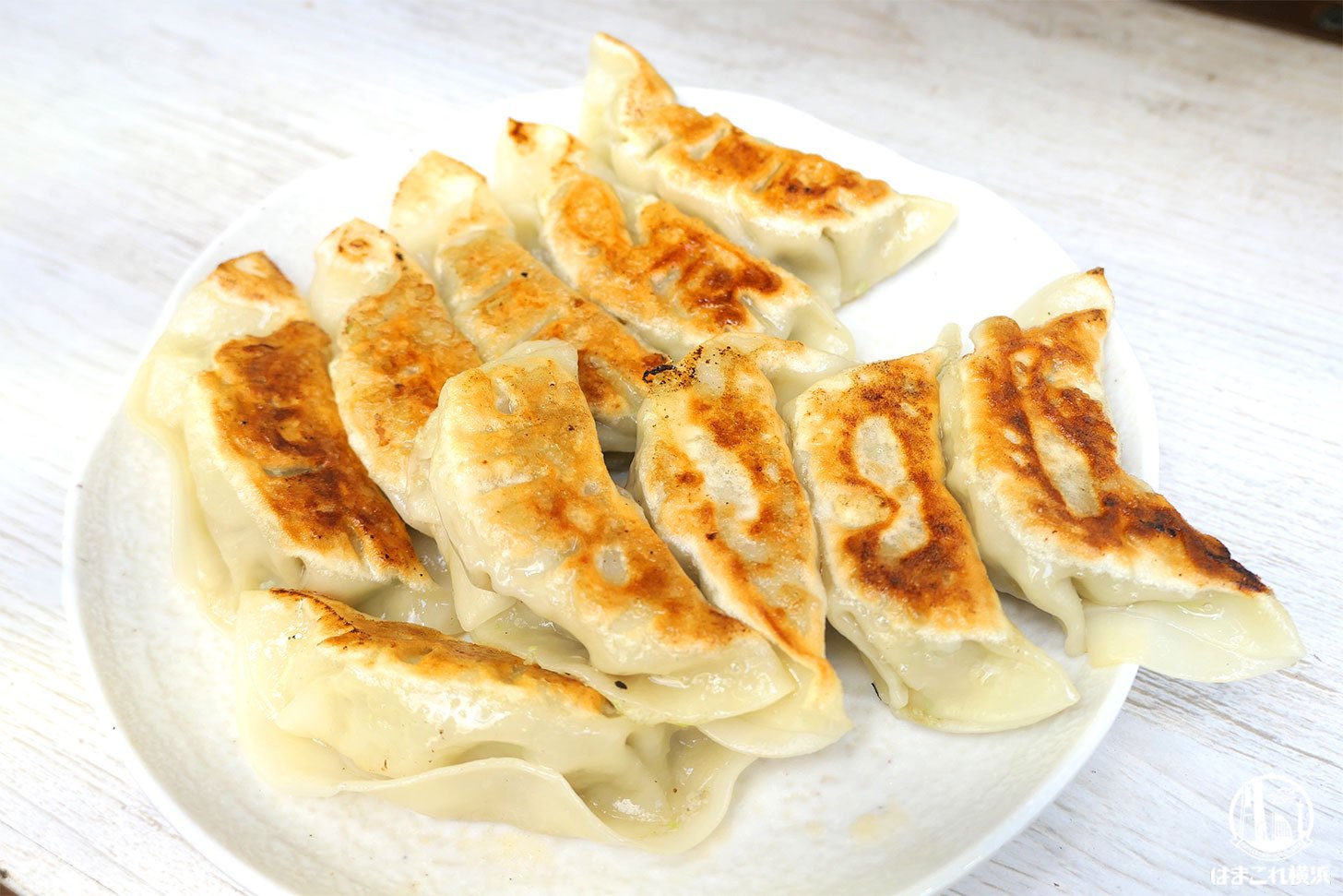 三陽の焼き餃子