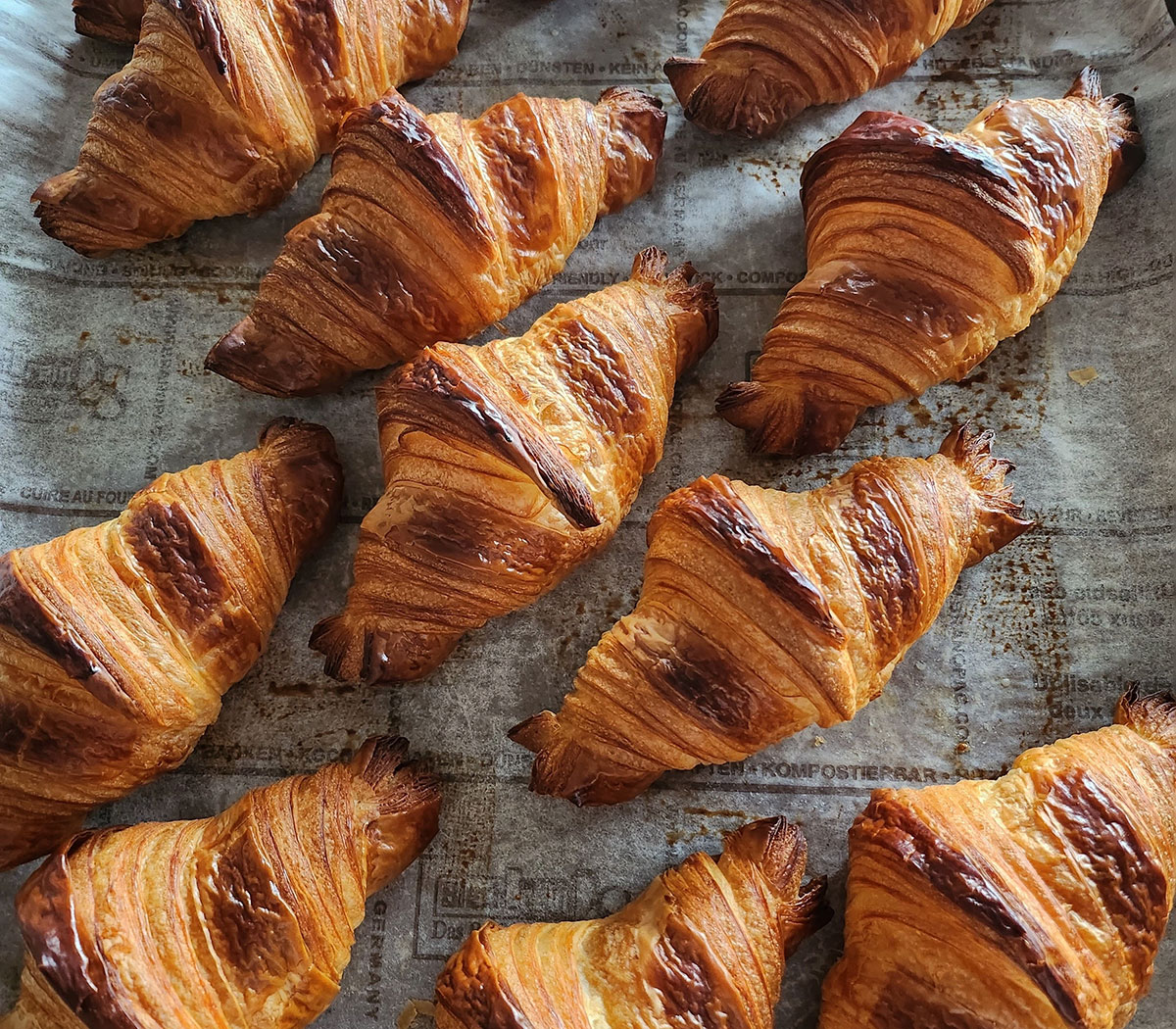 NoPell Bakery