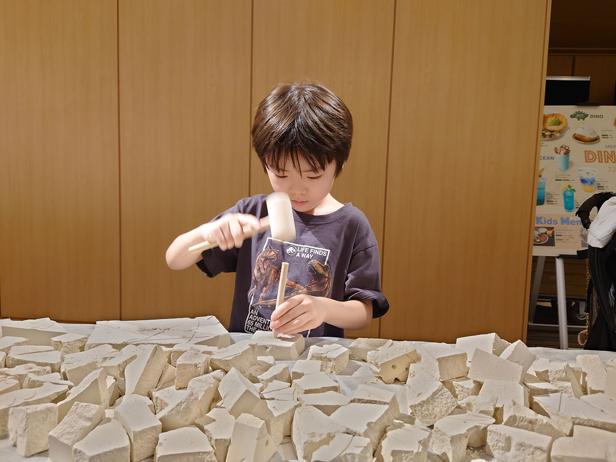 ワークショップ「レア恐竜化石をゲットしよう！化石発掘ミッション」