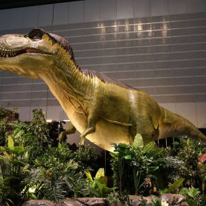 パシフィコ横浜「ヨコハマ恐竜展」2026年夏に9年ぶり開催！恐竜の食卓に着目・骨格標本やロボット展示など