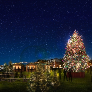 横浜赤レンガ倉庫のクリスマスマーケットに新エリア誕生!森をテーマにイルミや物販などスケール拡大