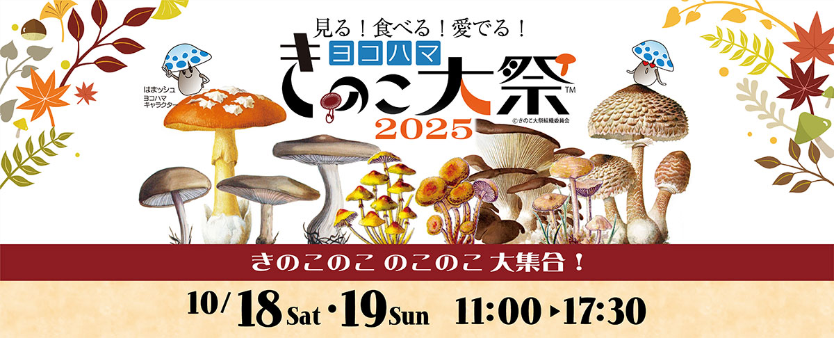 ヨコハマきのこ大祭2025がMMテラスで開催！きのこ好きによる、きのこ好きのための祭典