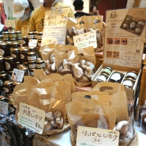 ヨコハマきのこ大祭2025がMMテラスで開催！見て・食べて・愛でる秋恒例きのこ尽くしイベント