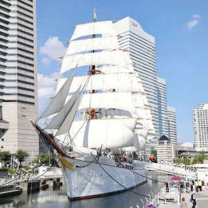 横浜の帆船日本丸「総帆展帆（そうはんてんぱん）」2025年10月は3週連続開催！全ての帆が広がる圧巻の光景