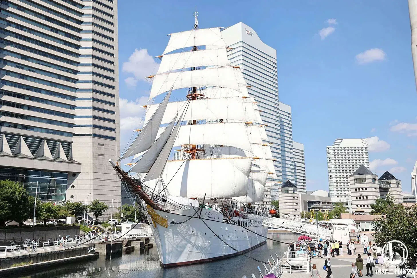 横浜の帆船日本丸「総帆展帆(そうはんてんぱん)」2025年11月3日に開催!全ての帆が広がる圧巻の光景