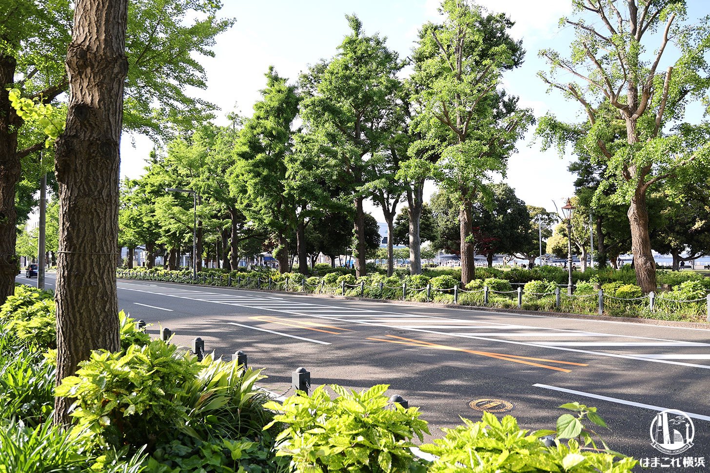 yamashitapark-street-202510