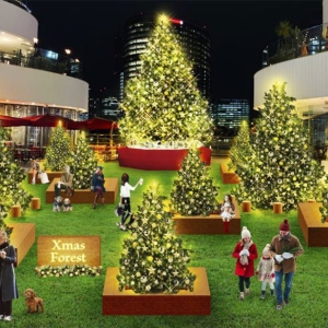 横浜ベイクォーター2025年クリスマスは“クリスマスの森”に!全10本のツリー輝く幻想的空間演出